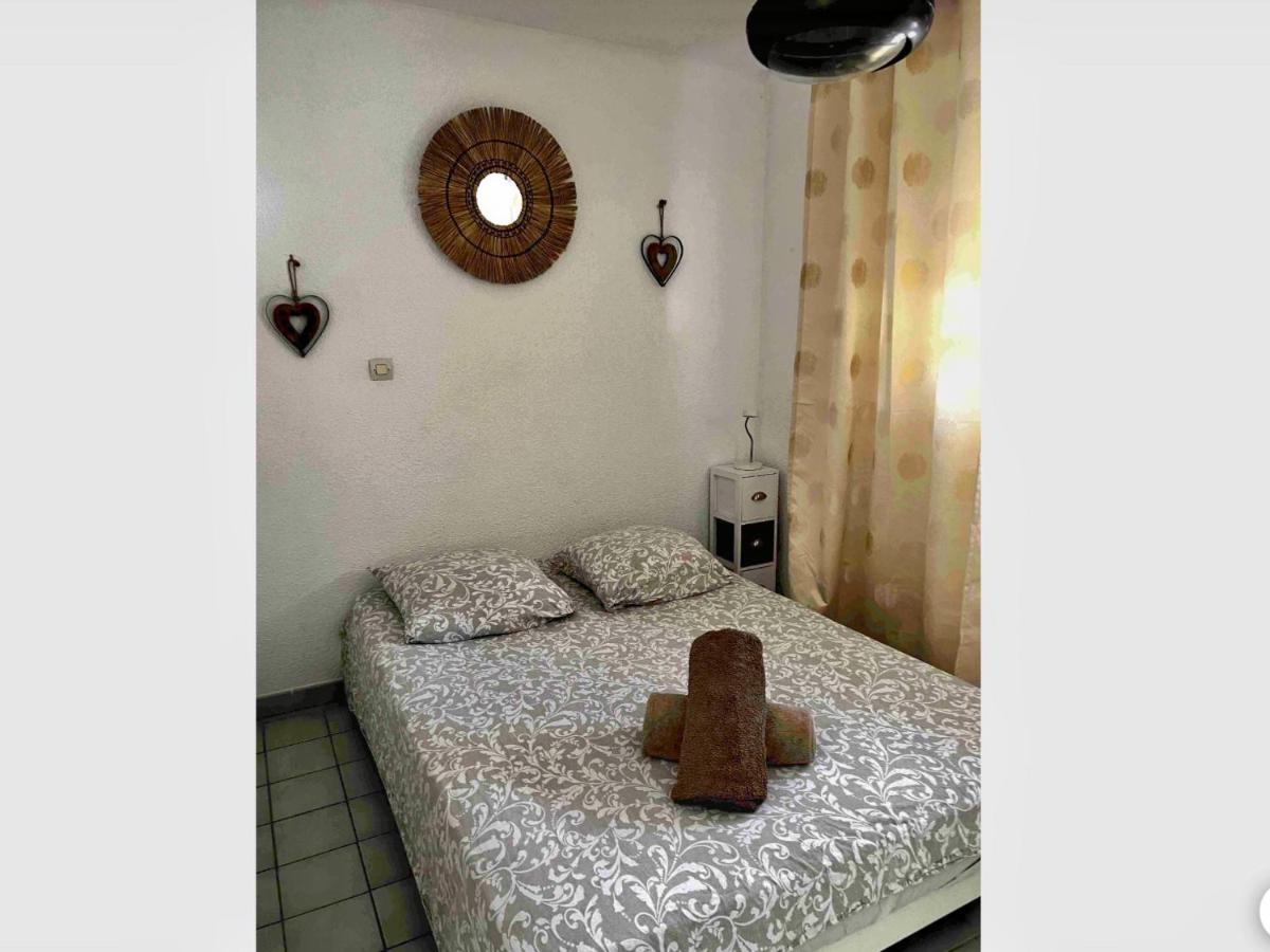 Appartement Terrasse Panoramique Hopitaux Et Facultes Montpellier